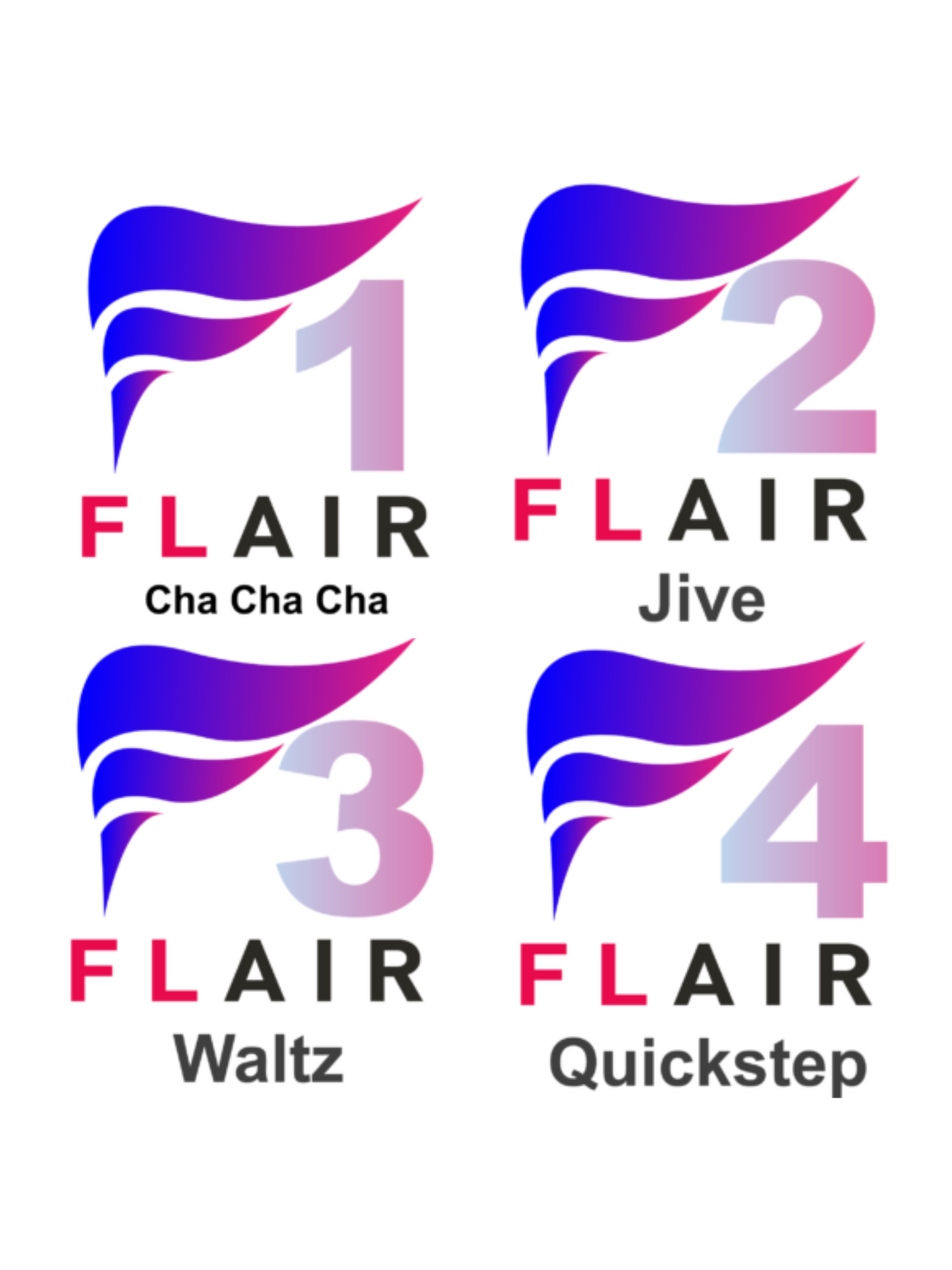 FitSteps Flair Bundle 1-4